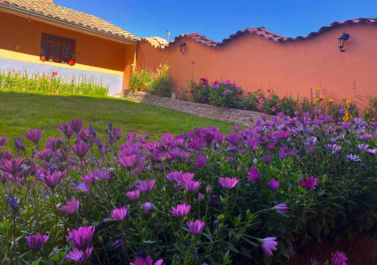 Chincheros  Chinchero Boutique Hotel & Tours المظهر الخارجي الصورة